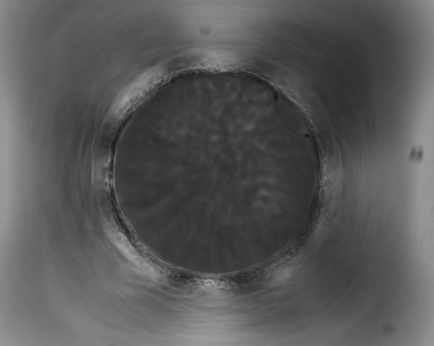 X0000114190585200911200938