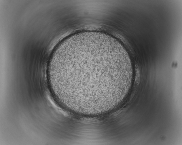 X0000114190586200911200938