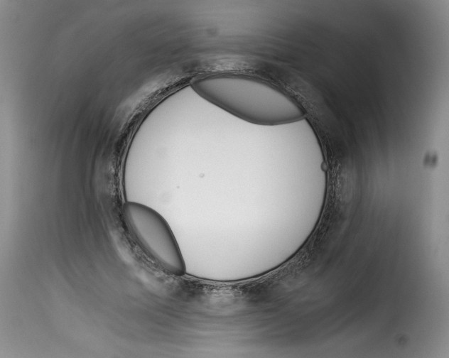 X0000114190587200911200938
