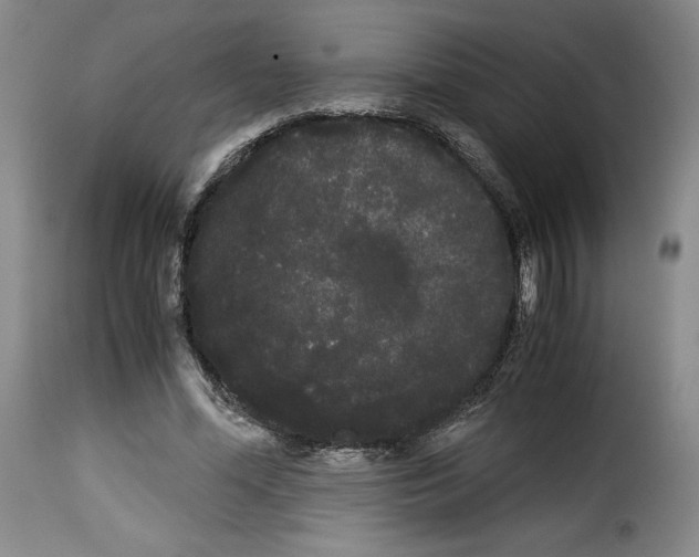 X0000114190588200911200938