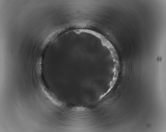 X0000114190590200911200938