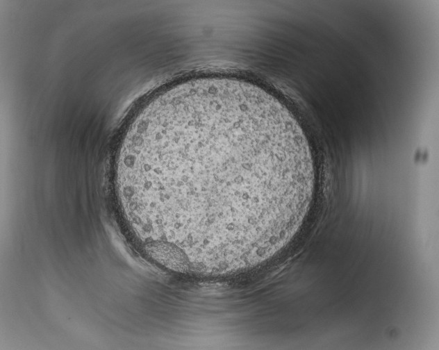 X0000114190591200911200938