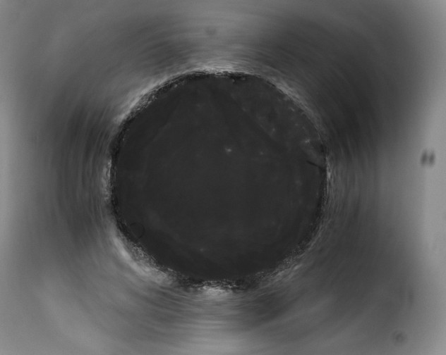 X0000114190592200911200938