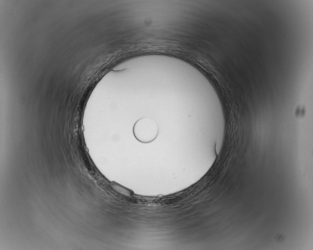 X0000114190593200911200938