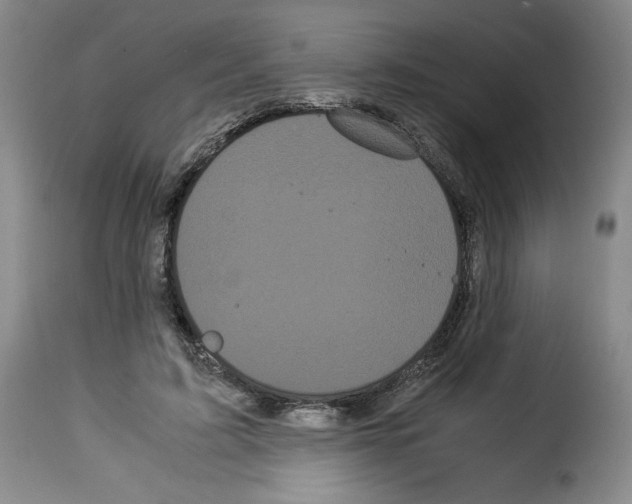 X0000114190595200911200938