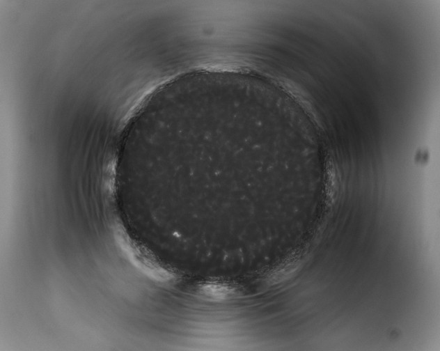 X0000114190596200911200938
