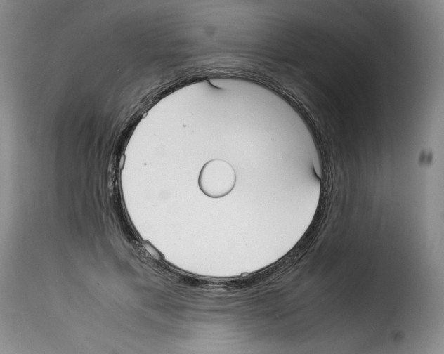 X0000114190597200911200938