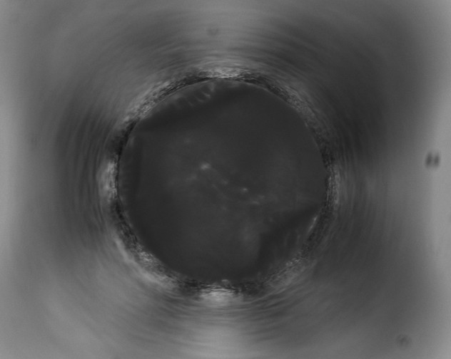 X0000114190598200911200938