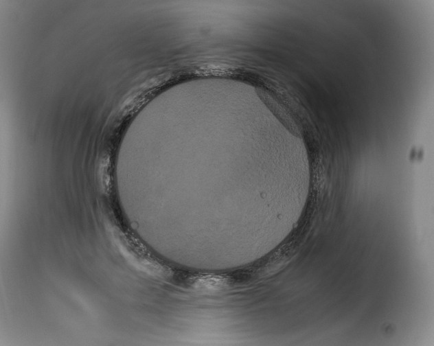 X0000114190599200911200938