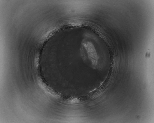 X0000114190600200911200938