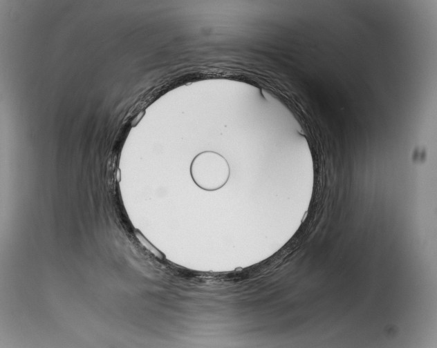 X0000114190601200911200938