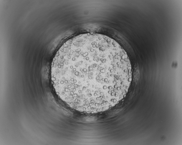 X0000114190604200911200938