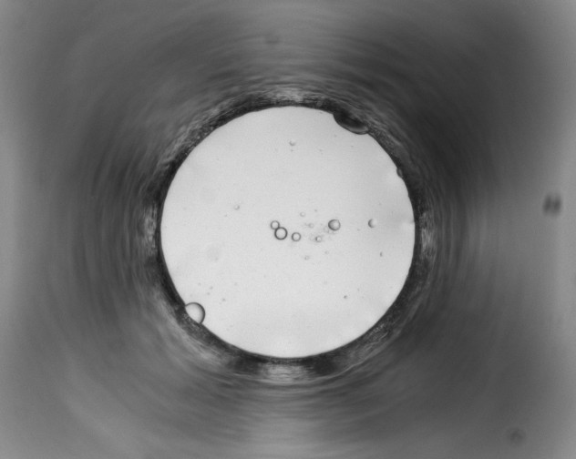 X0000114190605200911200938