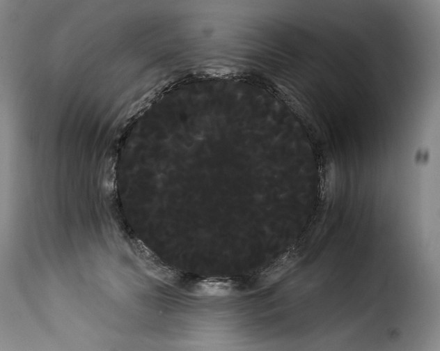 X0000114190606200911200938