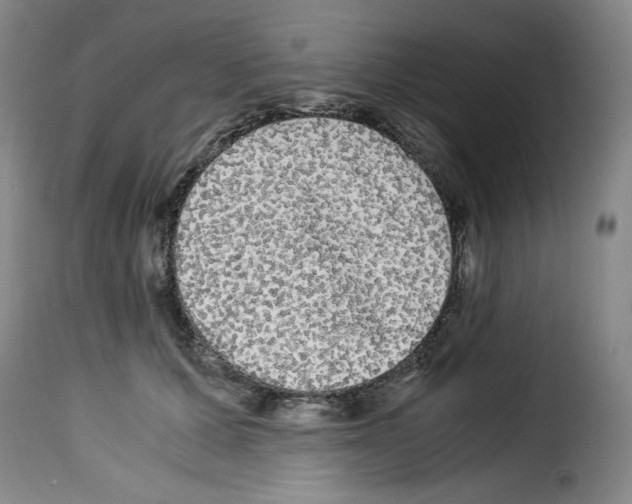 X0000114190607200911200938