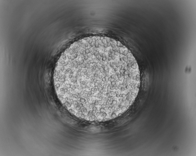X0000114190608200911200938