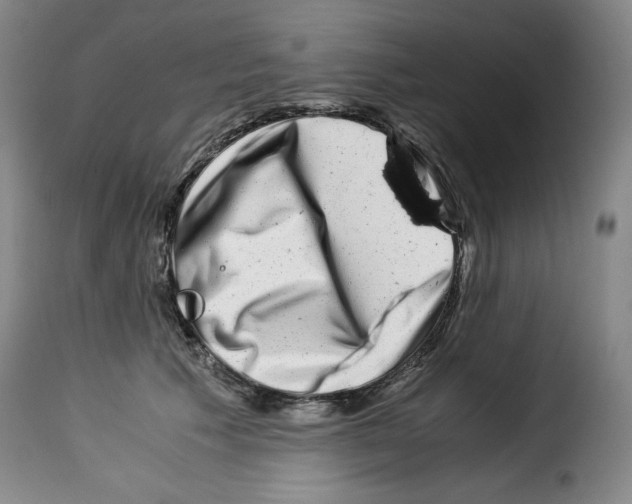 X0000114190609200911200938