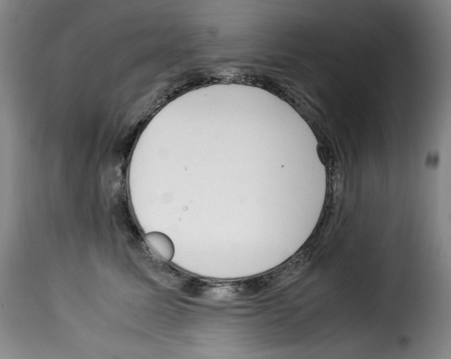 X0000114190611200911200938