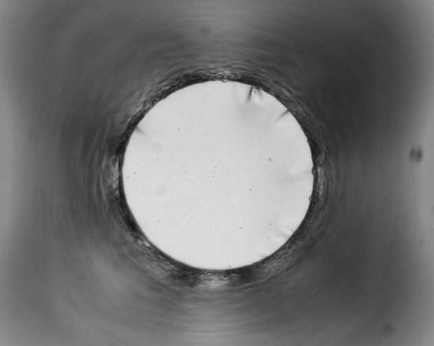 X0000114190613200911200938