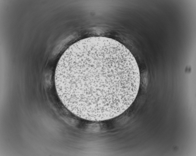 X0000114190615200911200938