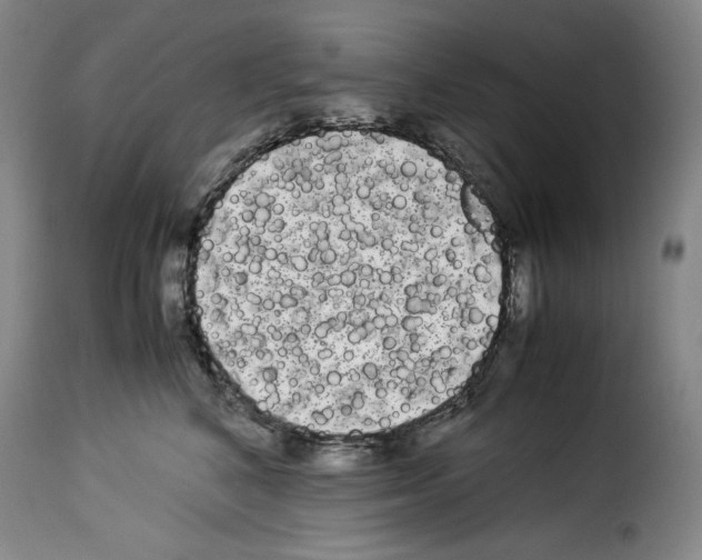 X0000114190616200911200938