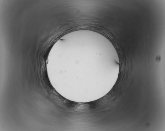 X0000114190617200911200938