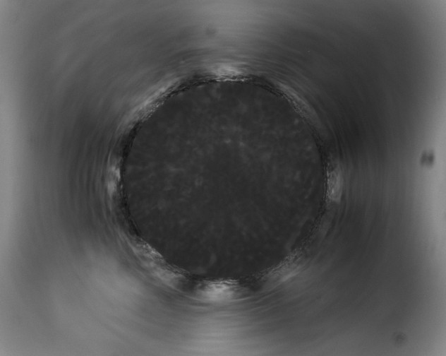 X0000114190618200911200938