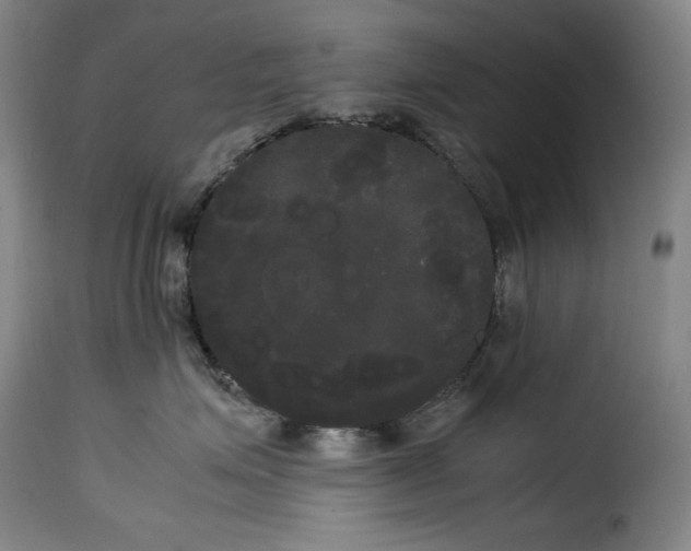 X0000114190623200911200938