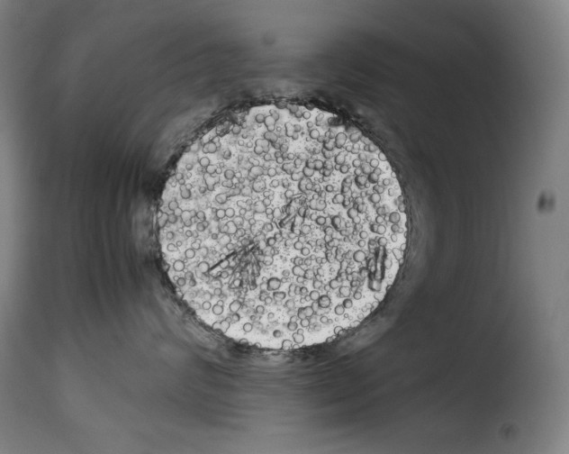 X0000114190624200911200938