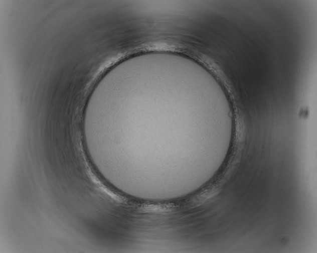 X0000114190625200911200937