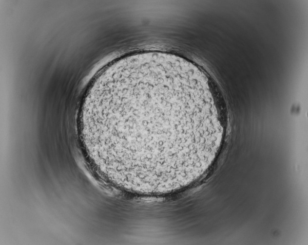 X0000114190626200911200937