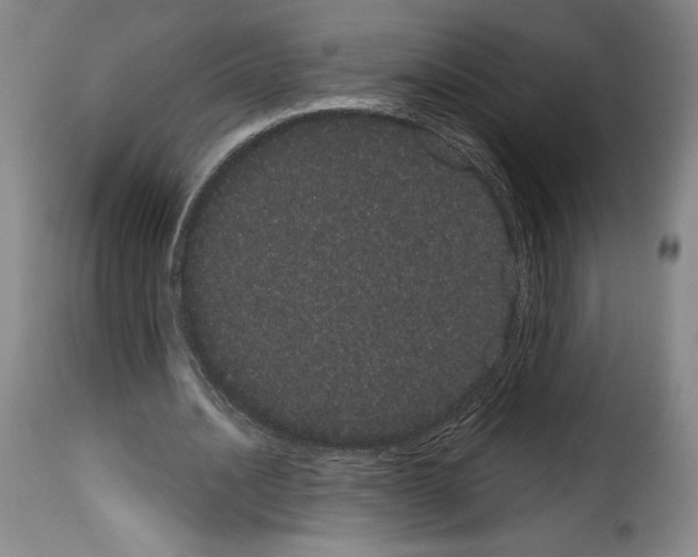 X0000114190628200911200937