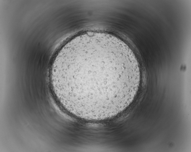 X0000114190629200911200937