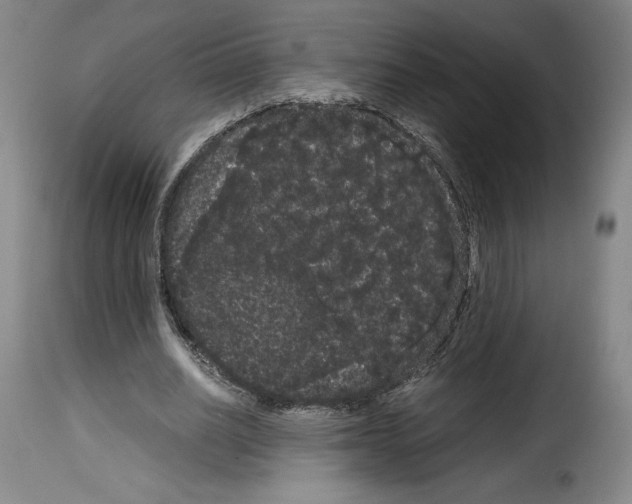 X0000114190630200911200937
