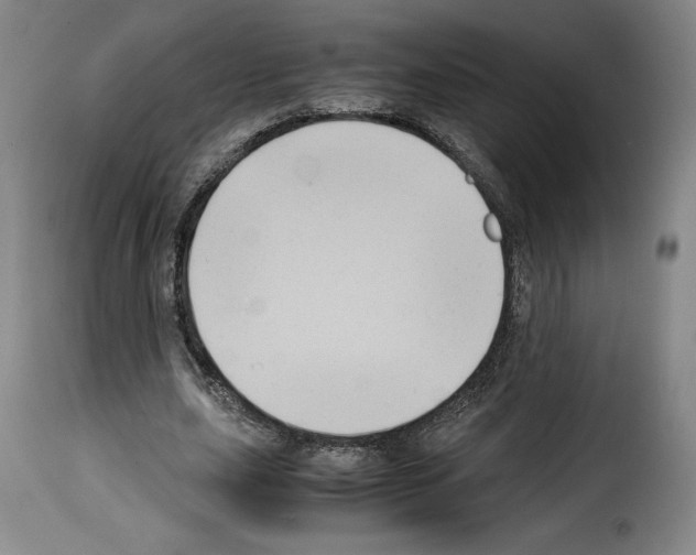 X0000114190631200911200937