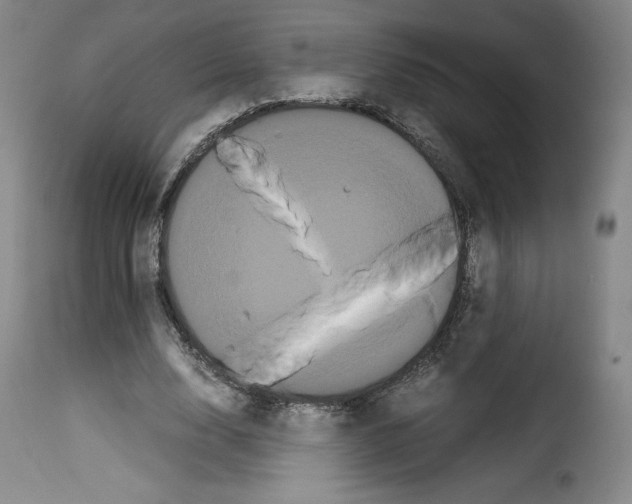 X0000114190632200911200937