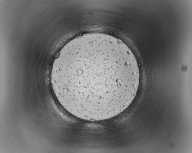 X0000114190633200911200937