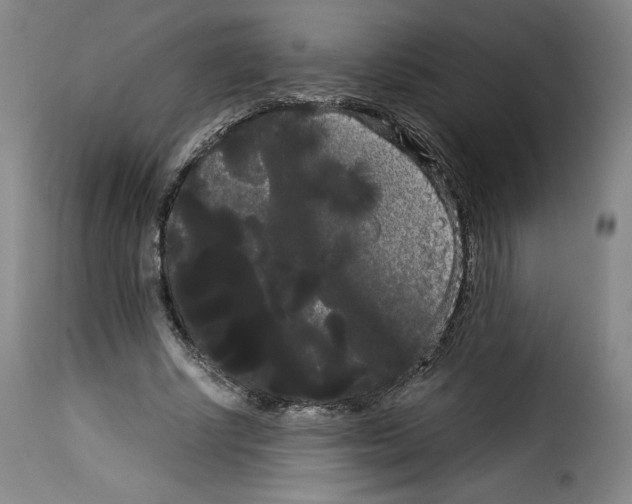 X0000114190634200911200937