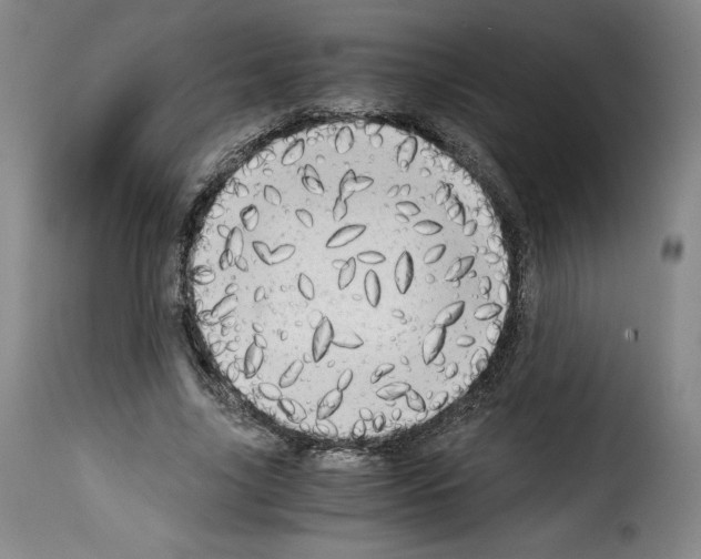 X0000114190635200911200937