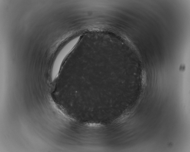 X0000114190637200911200937