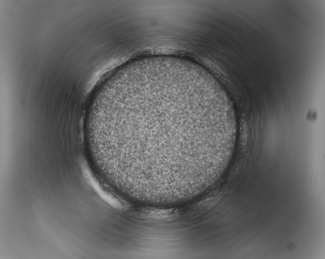 X0000114190638200911200937