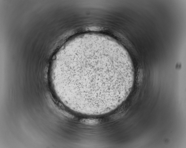 X0000114190639200911200937