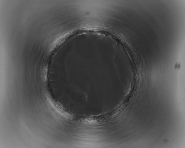 X0000114190640200911200937