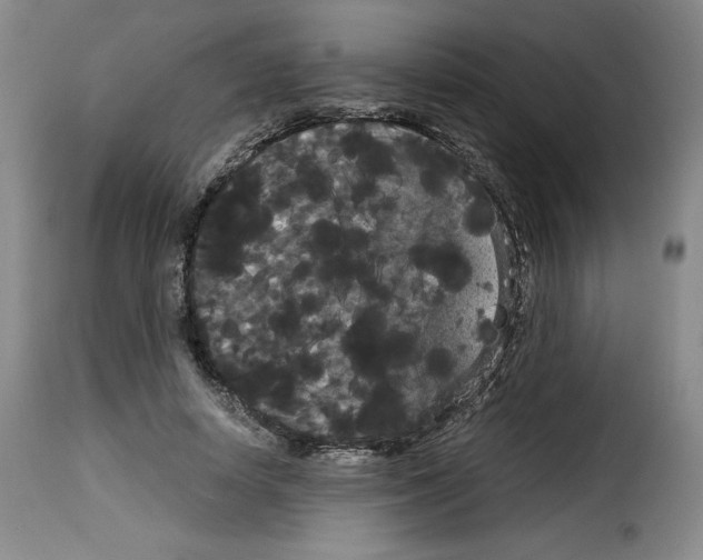 X0000114190642200911200937