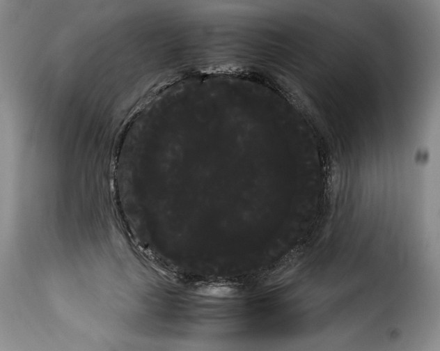 X0000114190643200911200937