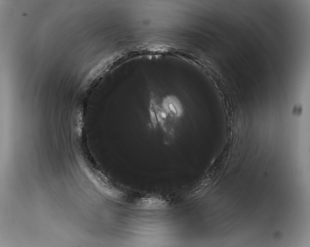 X0000114190644200911200937