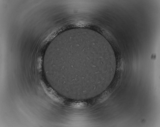 X0000114190646200911200938