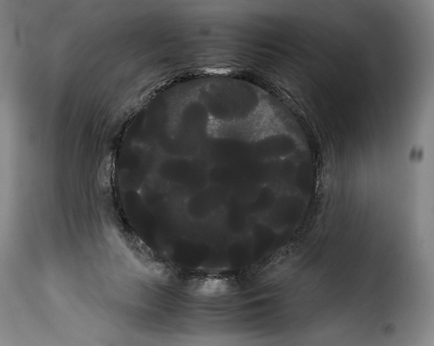 X0000114190647200911200938
