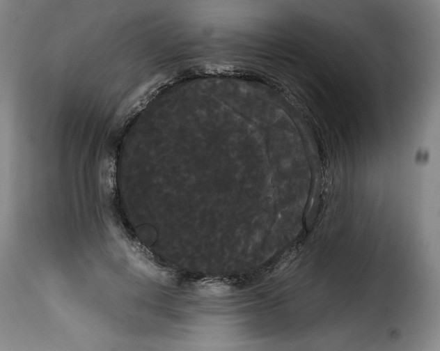 X0000114190648200911200938