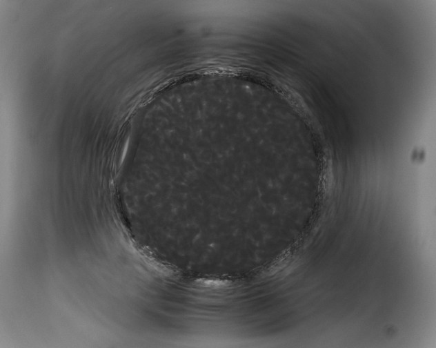X0000114190649200911200938